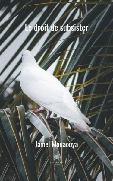 Cover for Jamel Mouaouya · Le droit de subsister (Paperback Book) (2020)