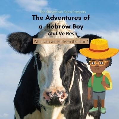 Cover for Aluf Ve Resh · The Adventures of a Hebrew Boy (Pocketbok) (2021)