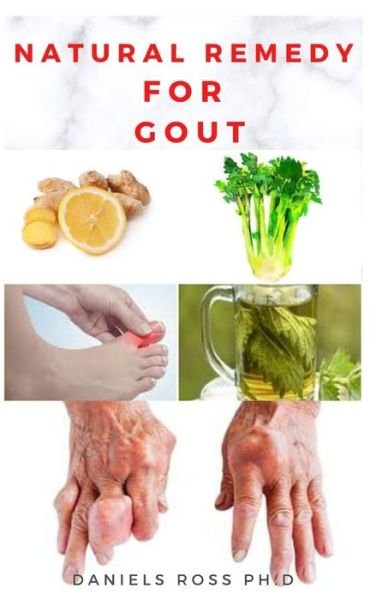 Cover for Daniels Ross Ph D · Natural Remedy for Gout (Pocketbok) (2020)