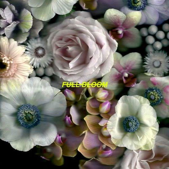 Full Bloom - Alpines - Musiikki - UNTRUE RECORDS - 0192641063299 - perjantai 16. marraskuuta 2018