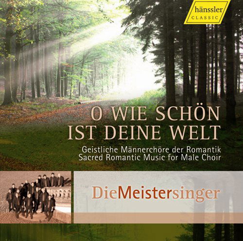 Cover for Die Meistersinger · Oh Wie Schon Ist Deine Welt: Sacred Romantic Music (CD) (2009)