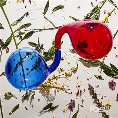 Cover for Dirty Projectors · Lamp Lit Prose (CD) (2018)
