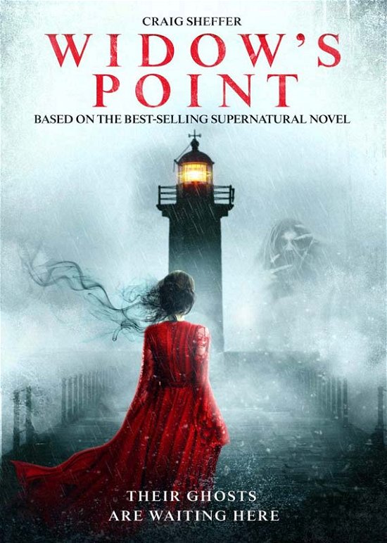 Cover for Widow's Point · Widows Point (DVD) (2020)
