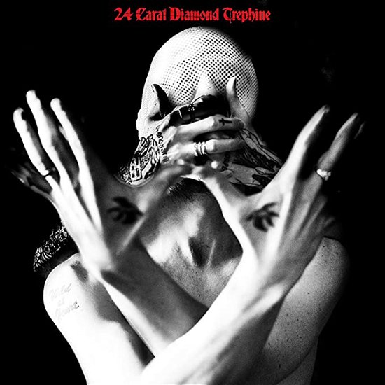Cover for Avalanche Party · 24 Carat Diamond Trephine (LP) (2019)