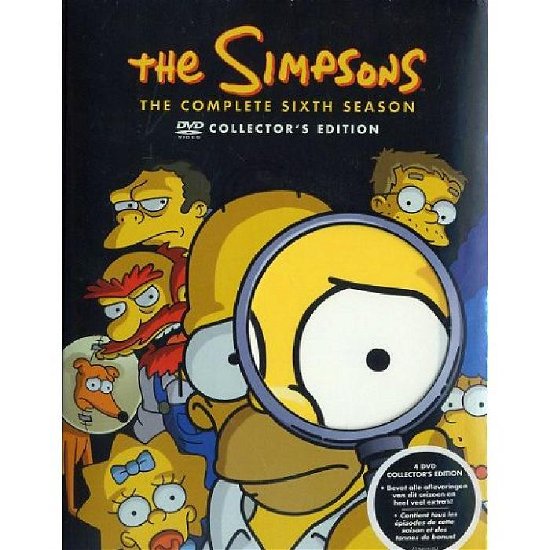 Cover for Simpsons The · Season 06 (DVD) [Box set] (2010)