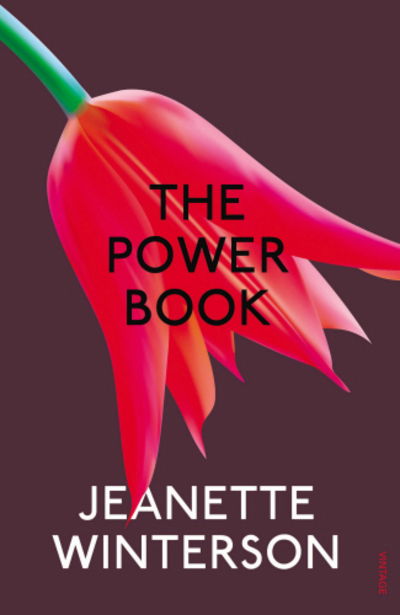 Cover for Jeanette Winterson · The Powerbook (Paperback Book) (2014)