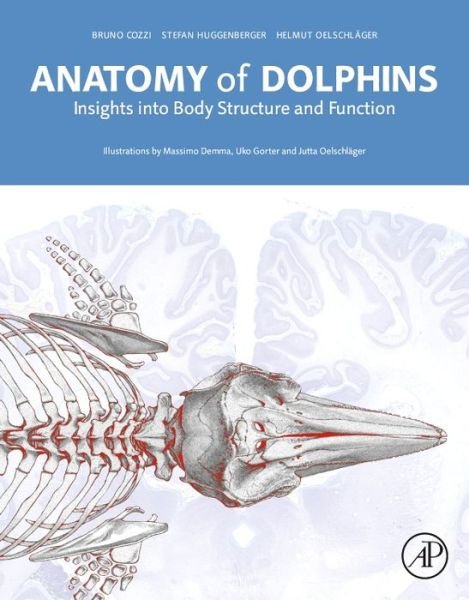Cover for Cozzi, Bruno (Department of Comparative Biomedicine and Food Science, University of Padova, Padova, Italy) · Anatomy of Dolphins: Insights into Body Structure and Function (Hardcover Book) (2016)