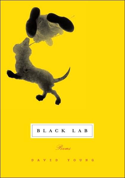 Cover for David Young · Black Lab: Poems (Paperback Book) (2007)