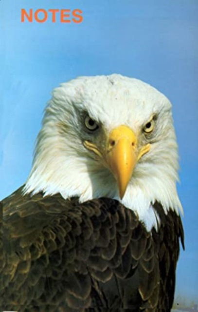 Cover for Hancock House · Note Book Bald Eagle (Paperback Book) (1989)