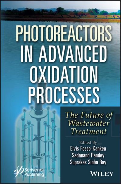 Cover for Fosso-Kankeu · Photoreactors in Advanced Oxidation Process: The Future of Wastewater Treatment (Hardcover Book) (2023)
