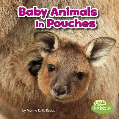 Baby Animals in Pouches - Martha E. H. Rustad - Books - Capstone - 9781515738299 - 2017