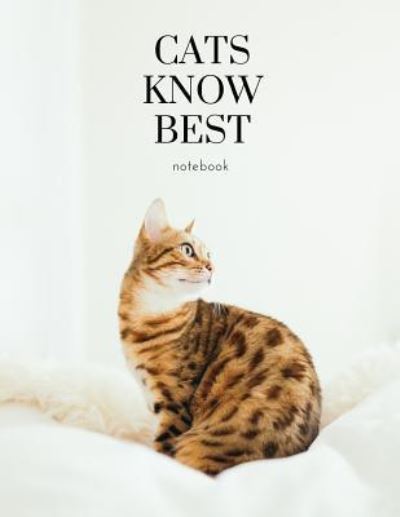 Cover for M O'Reilly · Cats know best (Paperback Book) (2019)