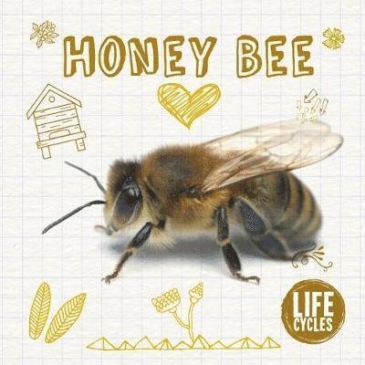 Cover for Grace Jones · Honey Bee - Life Cycles (Inbunden Bok) (2018)