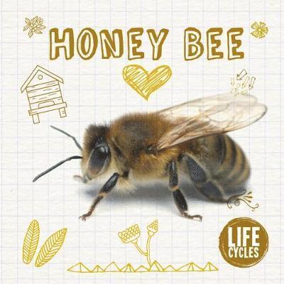 Honey Bee - Life Cycles - Grace Jones - Boeken - BookLife Publishing - 9781786376299 - 28 september 2018