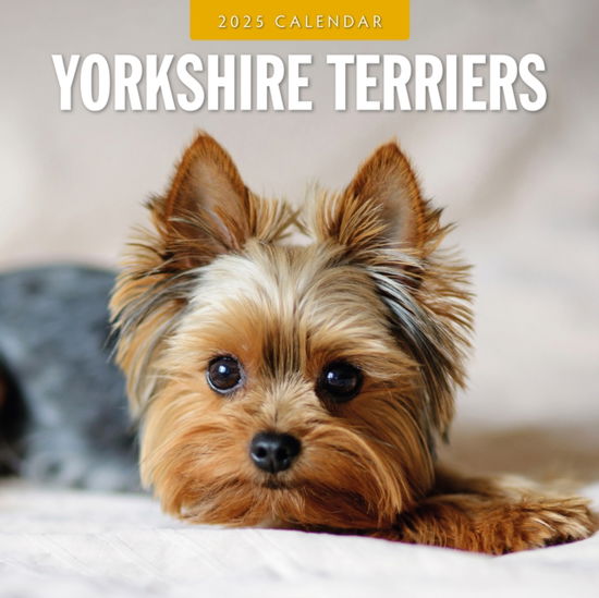 Red Robin · Yorkshire Terriers 2025 Square Wall Calendar (Paperback Book) (2024)