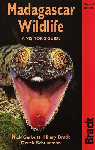 Cover for Hilary bradt · Madagascar Wildlife , A Visitor's Guide (Book) (2001)