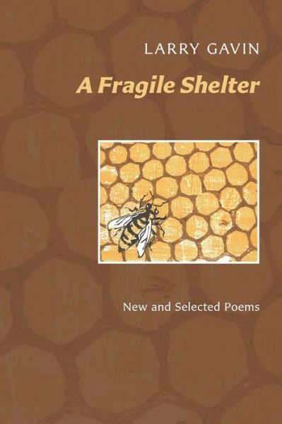 Cover for Larry Gavin · A Fragile Shelter (Paperback Book) (2019)