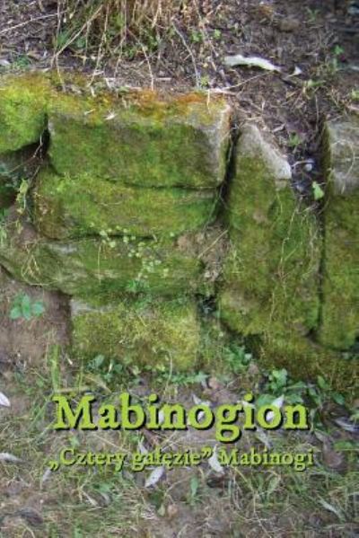 Mabinogion - Andrzej Juliusz Sarwa - Books - Createspace Independent Publishing Platf - 9781976469299 - September 16, 2017