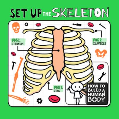 Cover for Kirsty Holmes · Set Up the Skeleton (Hardcover Book) (2020)