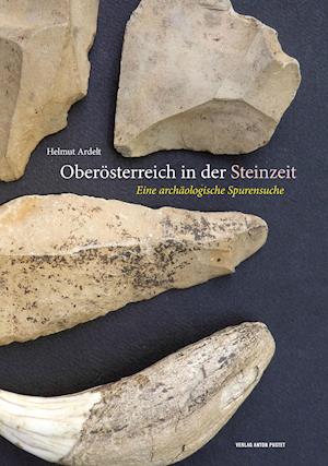 Cover for Helmut Ardelt · Oberösterreich in der Steinzeit (Hardcover Book) (2021)