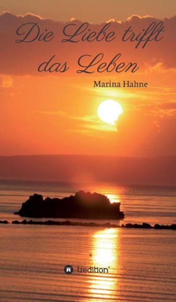 Cover for Marina Hahne · Die Liebe Trifft Das Leben (Hardcover Book) (2015)