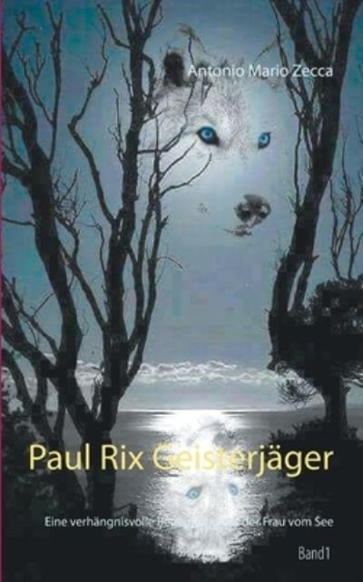 Cover for Zecca · Paul Rix Geisterjäger (Book) (2020)