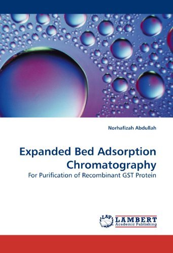 Cover for Norhafizah Abdullah · Expanded Bed Adsorption Chromatography: for Purification of Recombinant Gst Protein (Paperback Book) (2009)