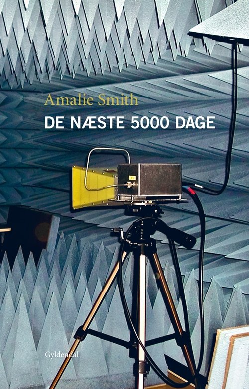 Cover for Amalie Smith · De næste 5000 dage (Sewn Spine Book) [1st edition] (2010)
