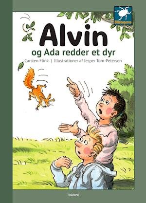 Cover for Carsten Flink · Billebøgerne: Alvin og Ada redder et dyr (Gebundenes Buch) [1. Ausgabe] (2024)