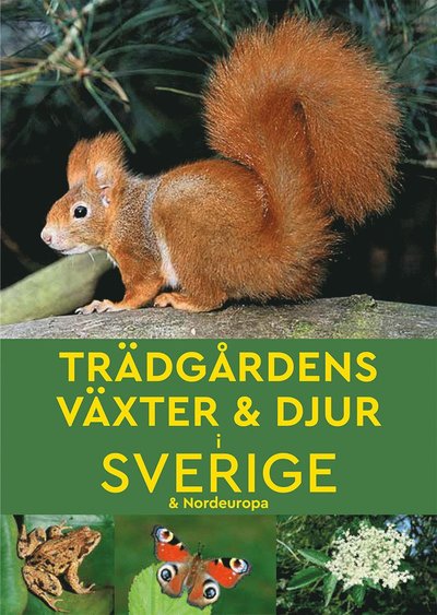 Cover for Marianne Taylor · Trädgårdens växter &amp; djur i Sverige &amp; Nordeuropa (Paperback Book) (2022)