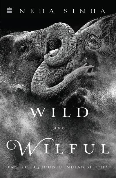 Cover for Neha Sinha · Wild And Wilful (Pocketbok) (2021)