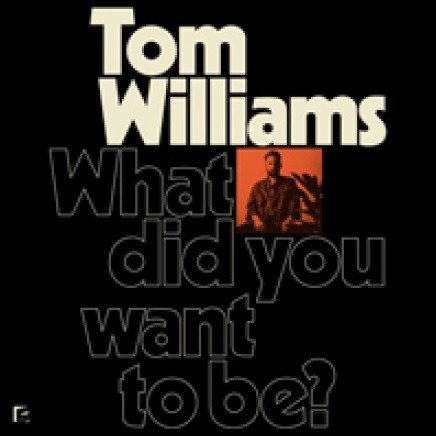 What Did You Want To Be? - Tom Williams - Música - INGROOVES - 0192641071300 - 24 de maio de 2019