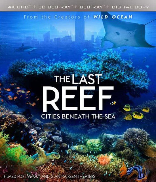 Cover for 4k Ultra Hd · Imax: the Last Reef: Cities Beneath the Sea (4K Ultra HD) (2016)