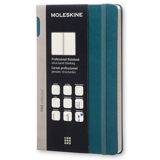 Cover for Moleskine · Moleskine Prof.Notizb.Large, meergrün (Book) (2015)