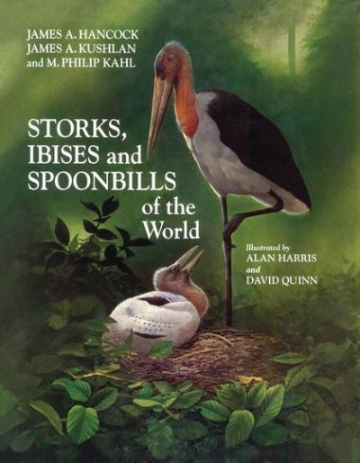 Storks  Ibises and Spoonbills of the World - Hancock James - Bücher -  - 9780123227300 - 31. Juli 2002