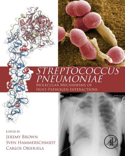 Cover for Jeremy Brown · Streptococcus Pneumoniae: Molecular Mechanisms of Host-Pathogen Interactions (Hardcover Book) (2015)