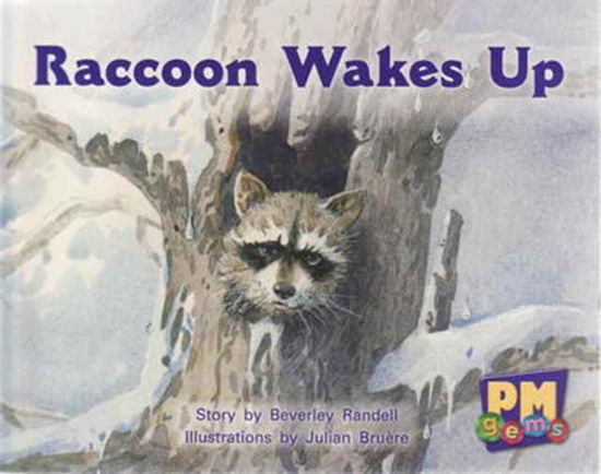 Raccoon Wakes up - Annette Smith - Kirjat - Cengage Learning Australia - 9780170124300 - keskiviikko 28. syyskuuta 2005