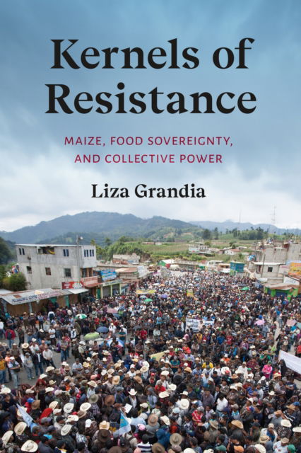 Liza Grandia · Kernels of Resistance: Maize, Food Sovereignty, and Collective Power - Kernels of Resistance (Paperback Book) (2024)