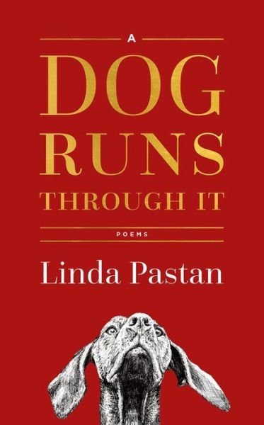 Cover for Linda Pastan · A Dog Runs Through It - Poems (Hardcover Book) (2018)