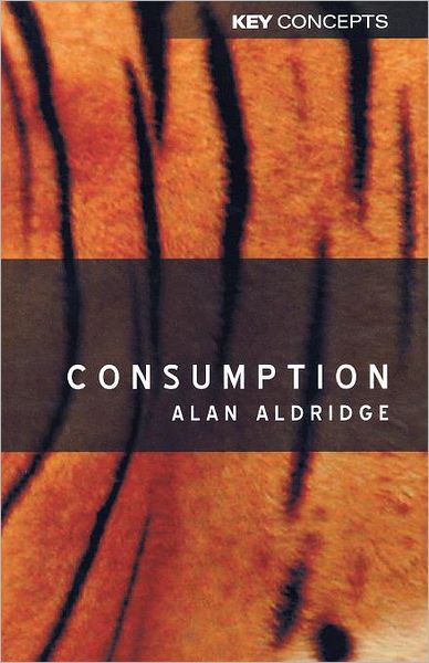 Cover for Aldridge, Alan (University of Nottingham) · Consumption - Key Concepts (Paperback Book) (2003)