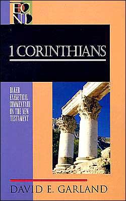 Cover for David E. Garland · 1 Corinthians (Hardcover Book) (2003)