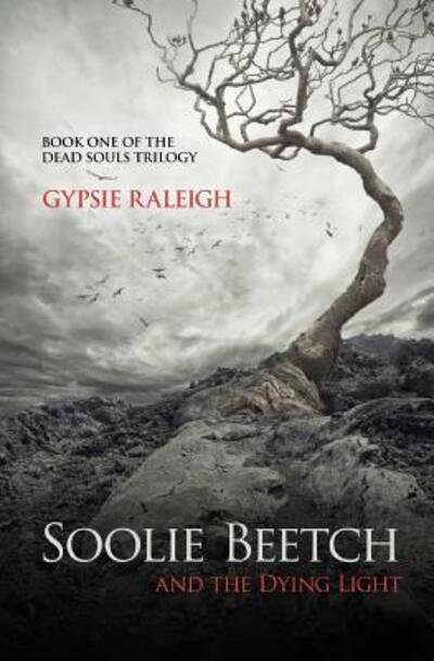 Cover for Gypsie Raleigh · Soolie Beetch and the Dying Light (Paperback Bog) (2016)