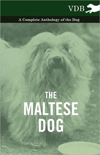 Cover for The Maltese Dog - a Complete Anthology of the Dog (Pocketbok) (2010)