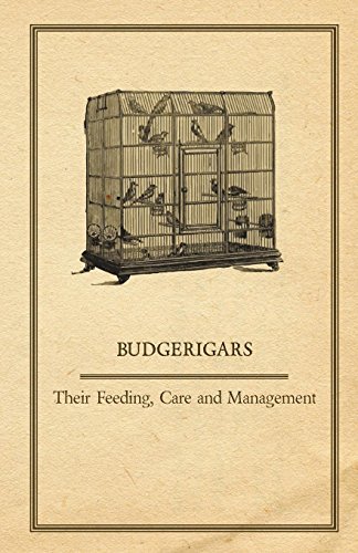 Cover for Anon · Budgerigars - Their Feeding, Care and Management (Paperback Book) (2011)