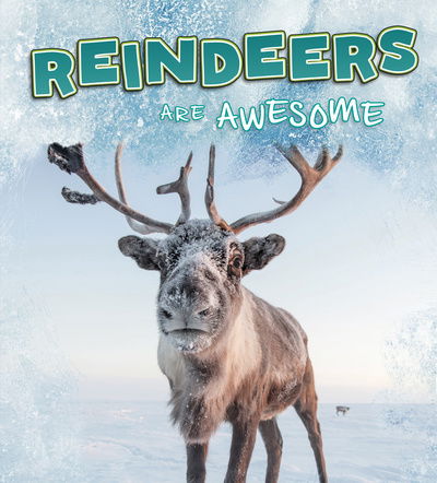 Cover for Jaclyn Jaycox · Reindeer Are Awesome - Polar Animals (Hardcover Book) (2020)