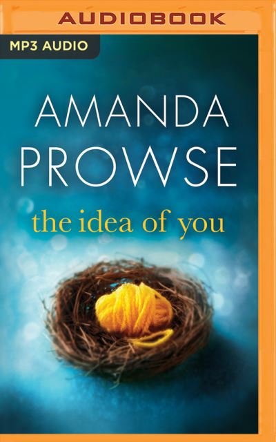 The Idea of You - Amanda Prowse - Musik - Brilliance Audio - 9781536619300 - 21. marts 2017
