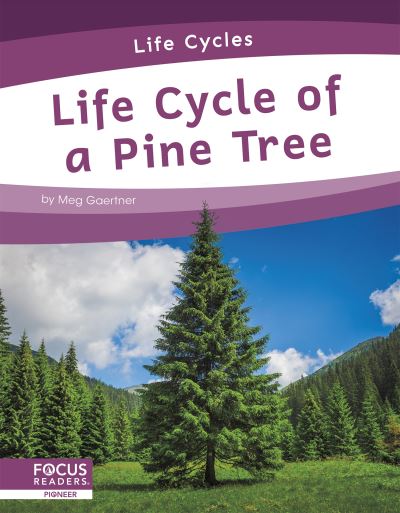 Life Cycle of a Pine Tree - Life Cycles - Meg Gaertner - Książki - North Star Editions - 9781644938300 - 1 sierpnia 2021