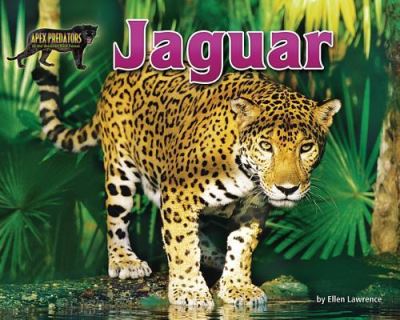 Cover for Ellen Lawrence · Jaguar (Book) (2016)