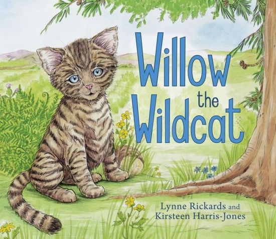 Cover for Lynne Rickards · Willow the Wildcat - Picture Kelpies (Paperback Book) (2020)