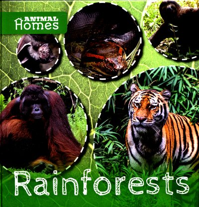 Cover for John Wood · Rainforests - Animal Homes (Innbunden bok) (2017)